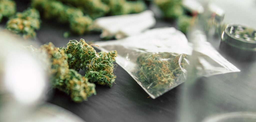 The cannabis community in Alberta is obsessed with high THC strains and super potent edibles, THC vapes, and concentrates.