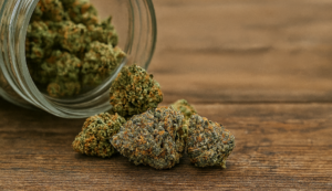 Cheap bud cannabis spilling from a glass jar onto a wooden surface, showcasing affordable quality weed in Canada