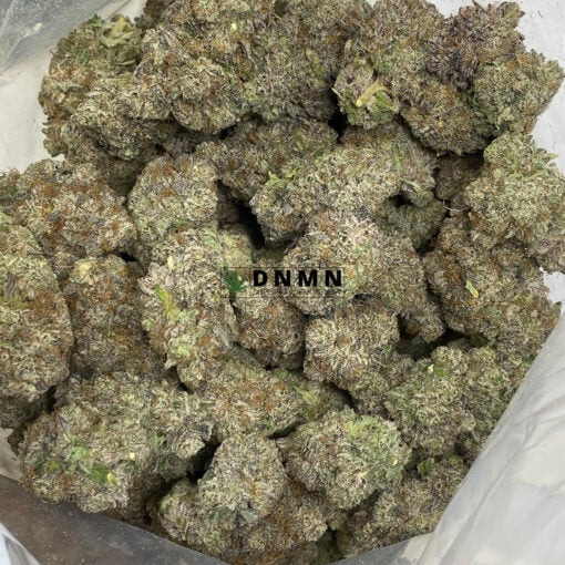 Purple Snoop Dogg OG - Cheap Weed Canada - Dispensary Near Me Now