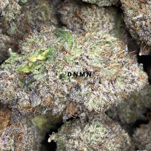 Purple Snoop Dogg OG - Online Dispensary Canada - Dispensary Near Me Now