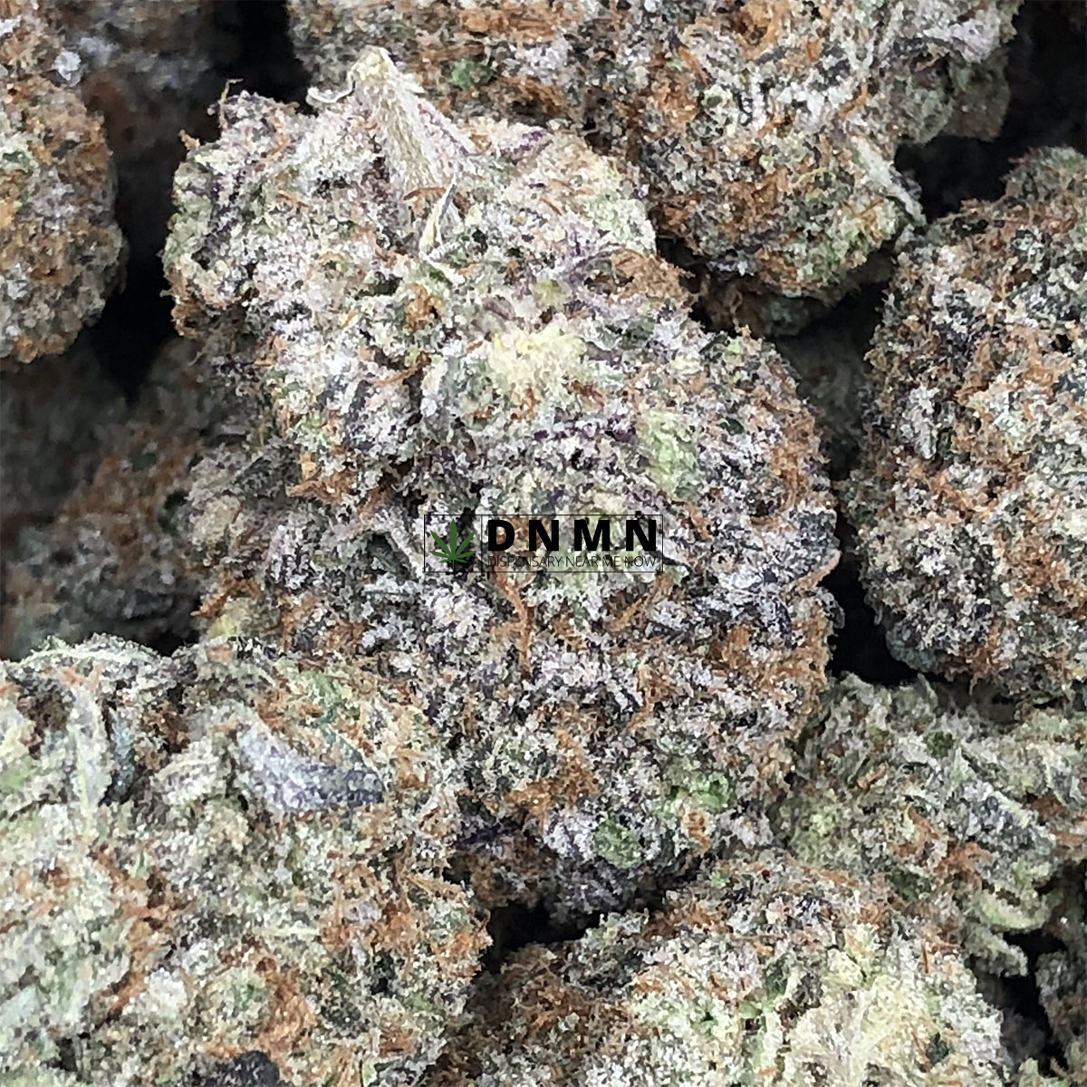 Tangerine Dream - Online Dispensary Canada - Dispensary Near Me Now