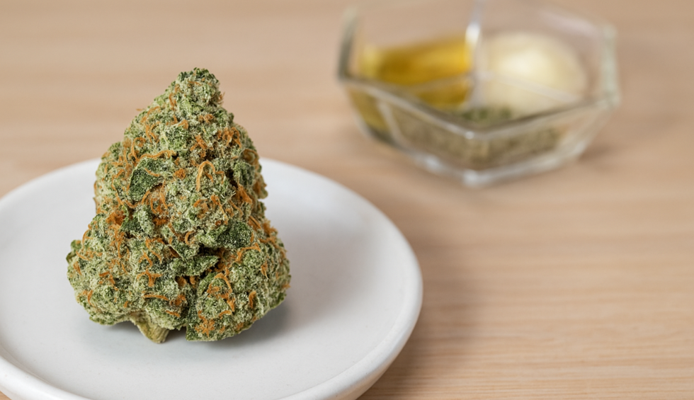 Alien OG cannabis bud on a white plate with small bowls of aromatic herbs and oils in the background, highlighting its rich terpene profile