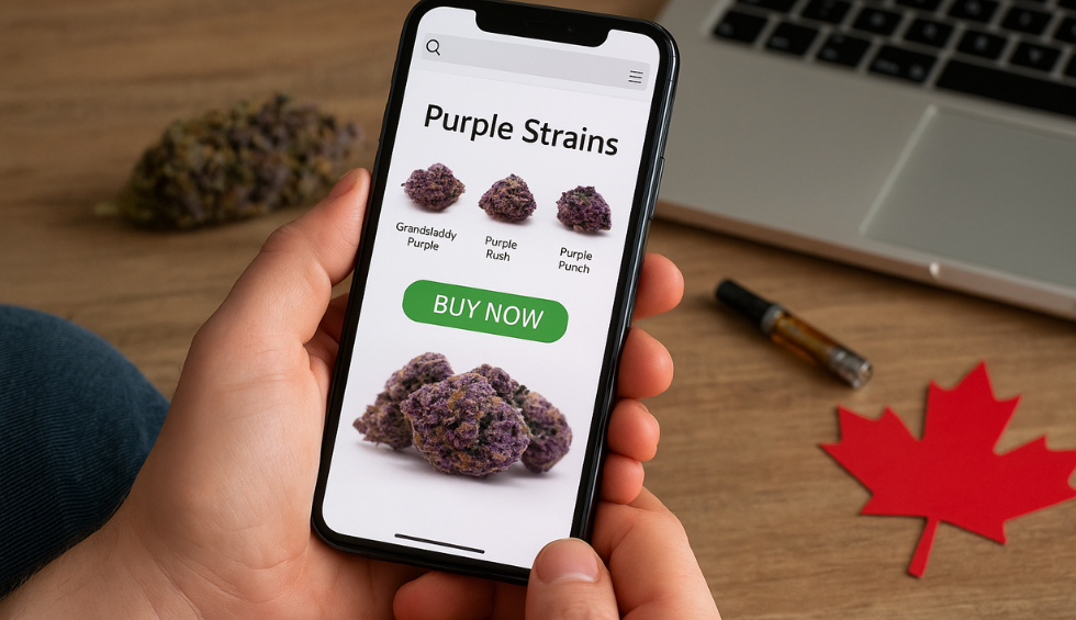 Person holding smartphone with online store displaying purple cannabis strains to buy in Canada