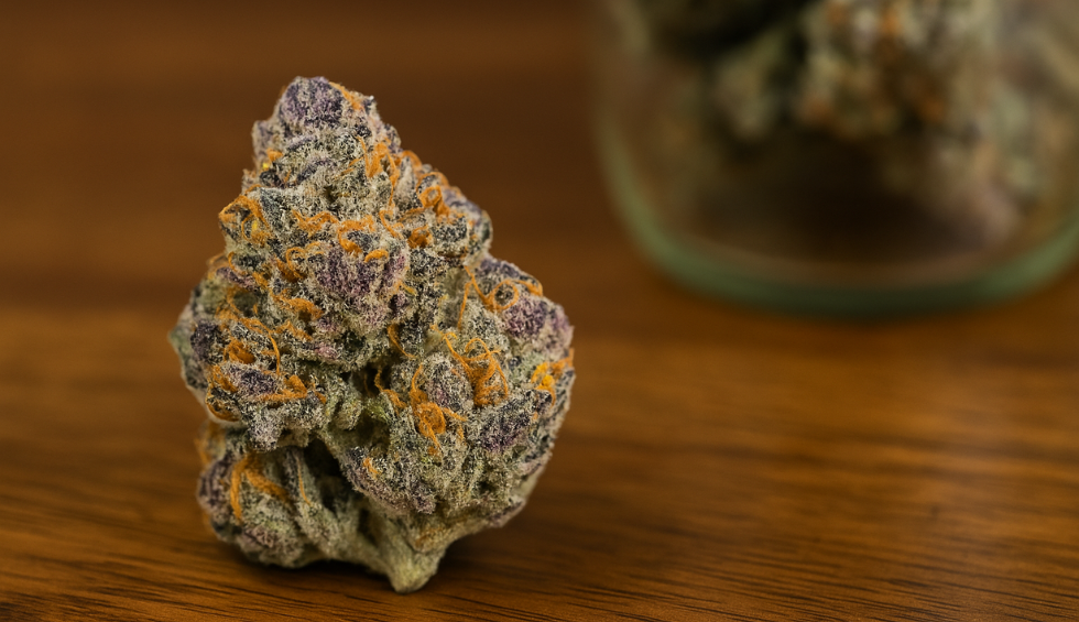 Pink Goo cannabis bud with frosty trichomes, vibrant purple hues, and orange hairs on a wooden surface