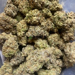 Purple Mcrupp - Cheap Weed Canada - Dispensary Near Me Now