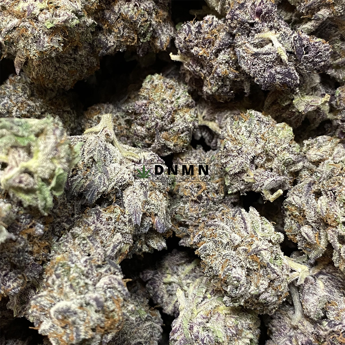Black Gum LSO - Online Dispensary Canada - Dispensary Near Me Now