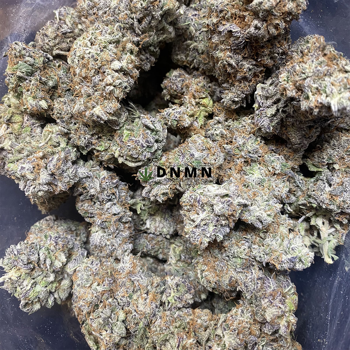 Critical Mass - Cheap Weed Canada - Dispensary Near Me Now