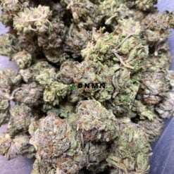Gas Leak - Cheap Weed Canada - Dispensary Near Me Now