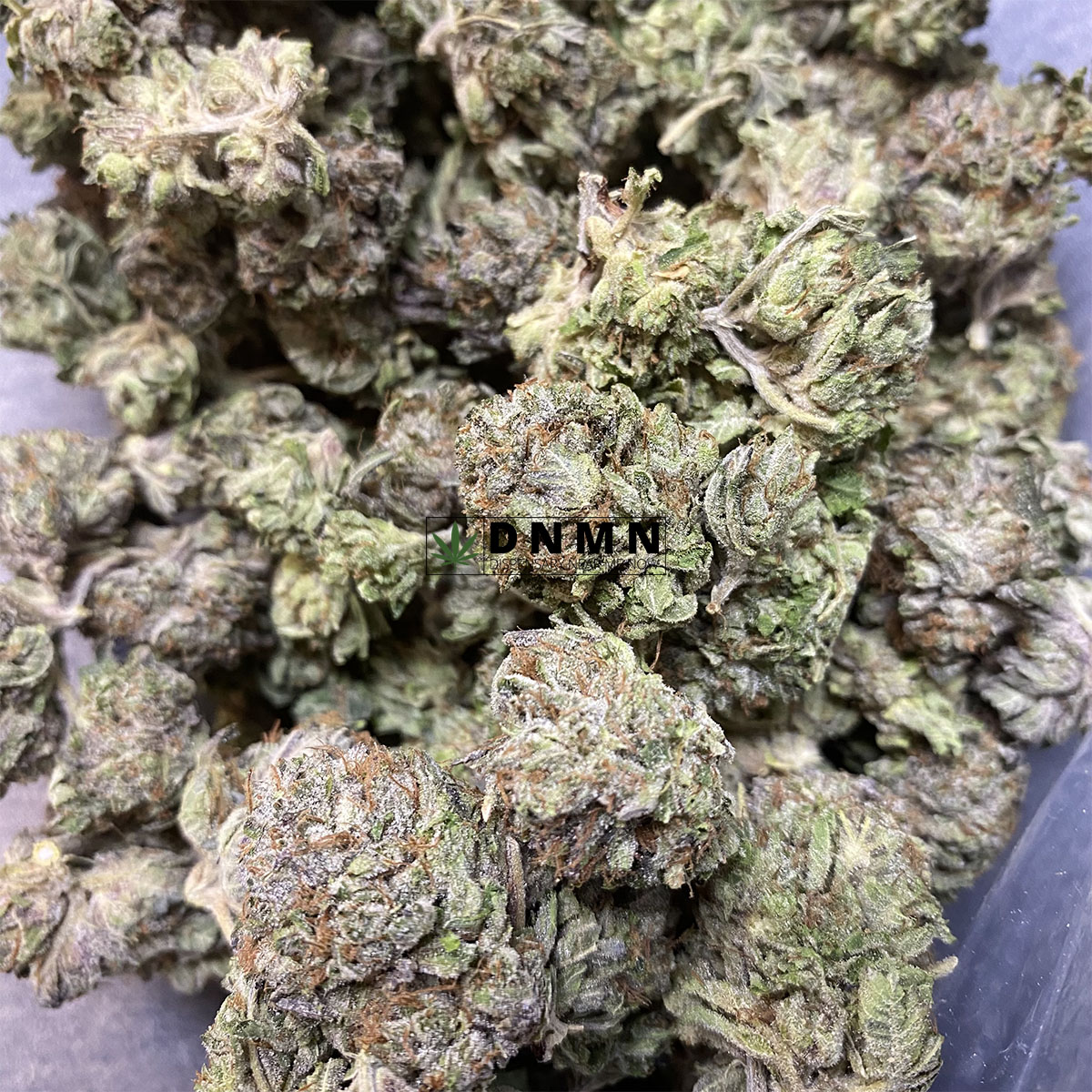 Gas Leak - Cheap Weed Canada - Dispensary Near Me Now