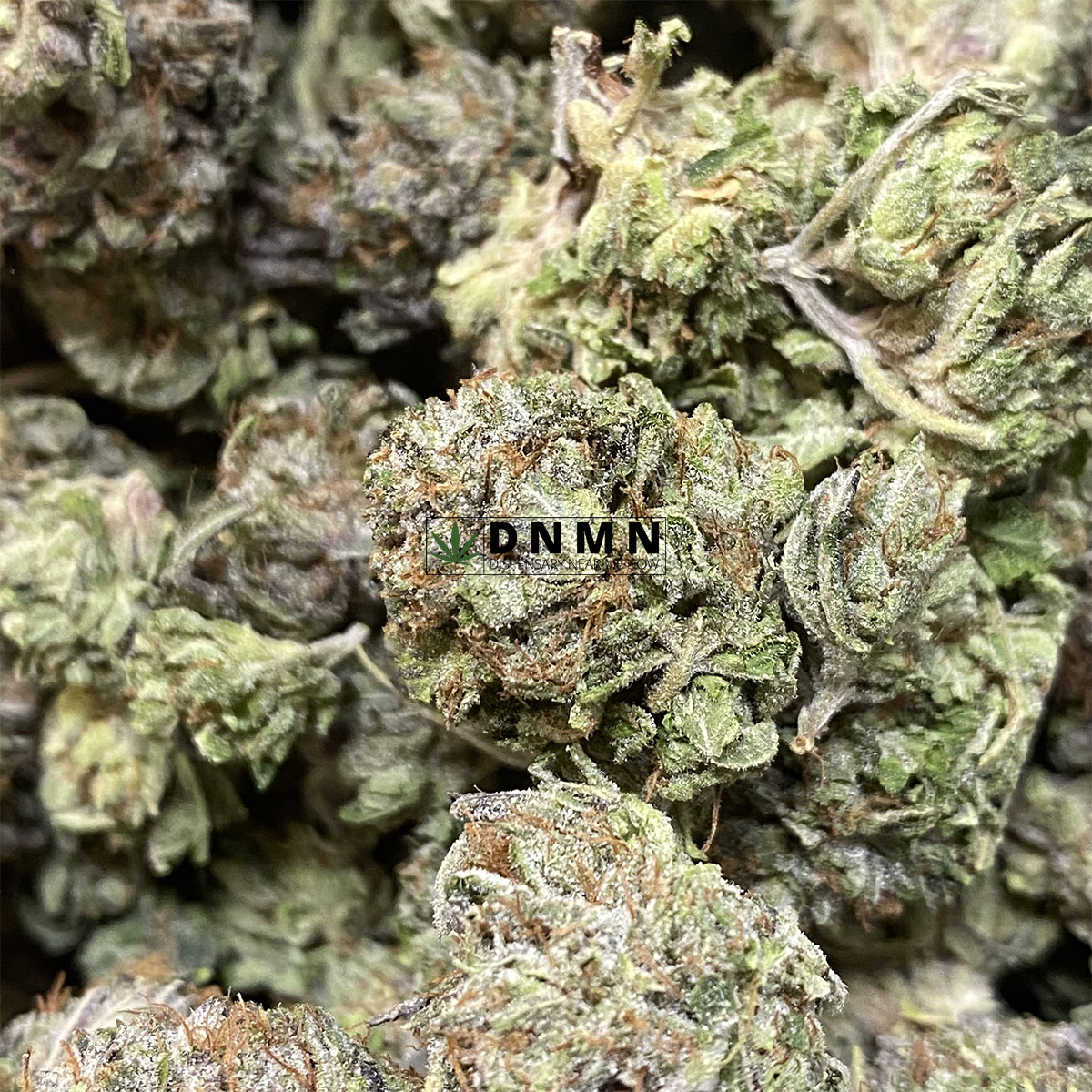Gas Leak - Online Dispensary Canada - Dispensary Near Me Now
