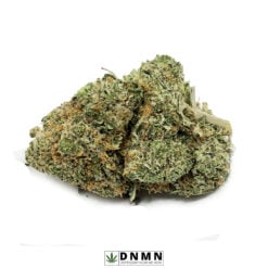 Gas Mask - Buy Weed Online - Dispensary Near Me Now