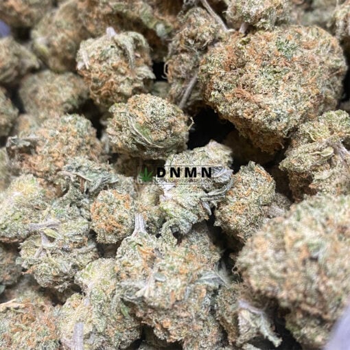Girl Scout Cookies - Cheap Weed Canada - Dispensary Near Me Now