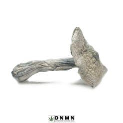 Jedi Mind Magic Mushroom - Buy Weed Online - Dispensary Near Me Now