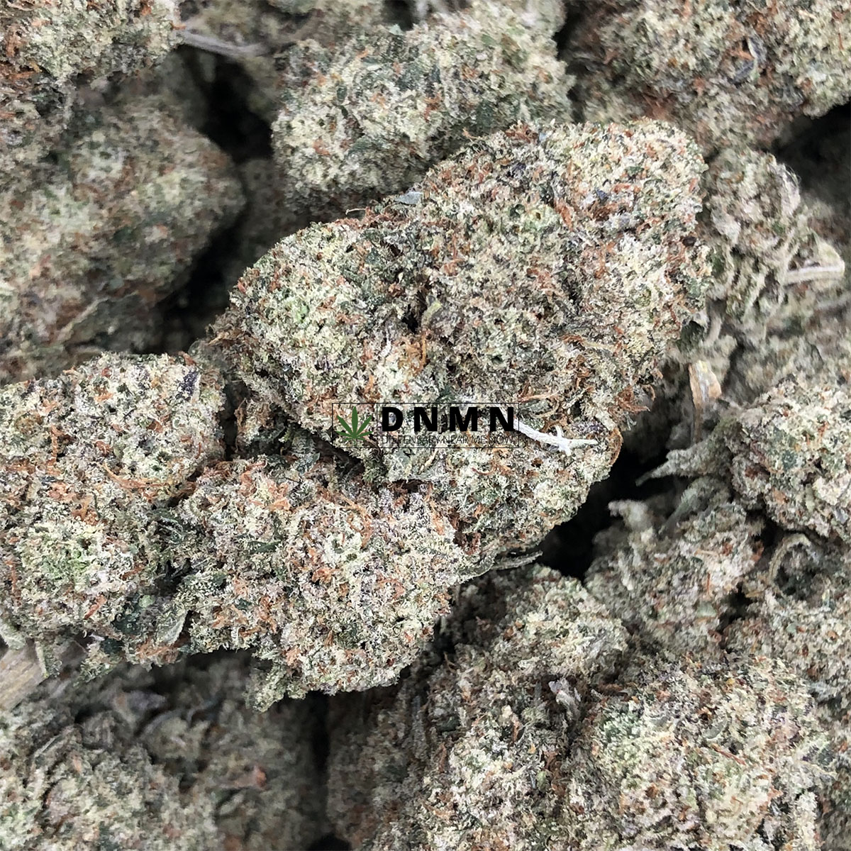 Lemon G - Online Dispensary Canada - Dispensary Near Me Now
