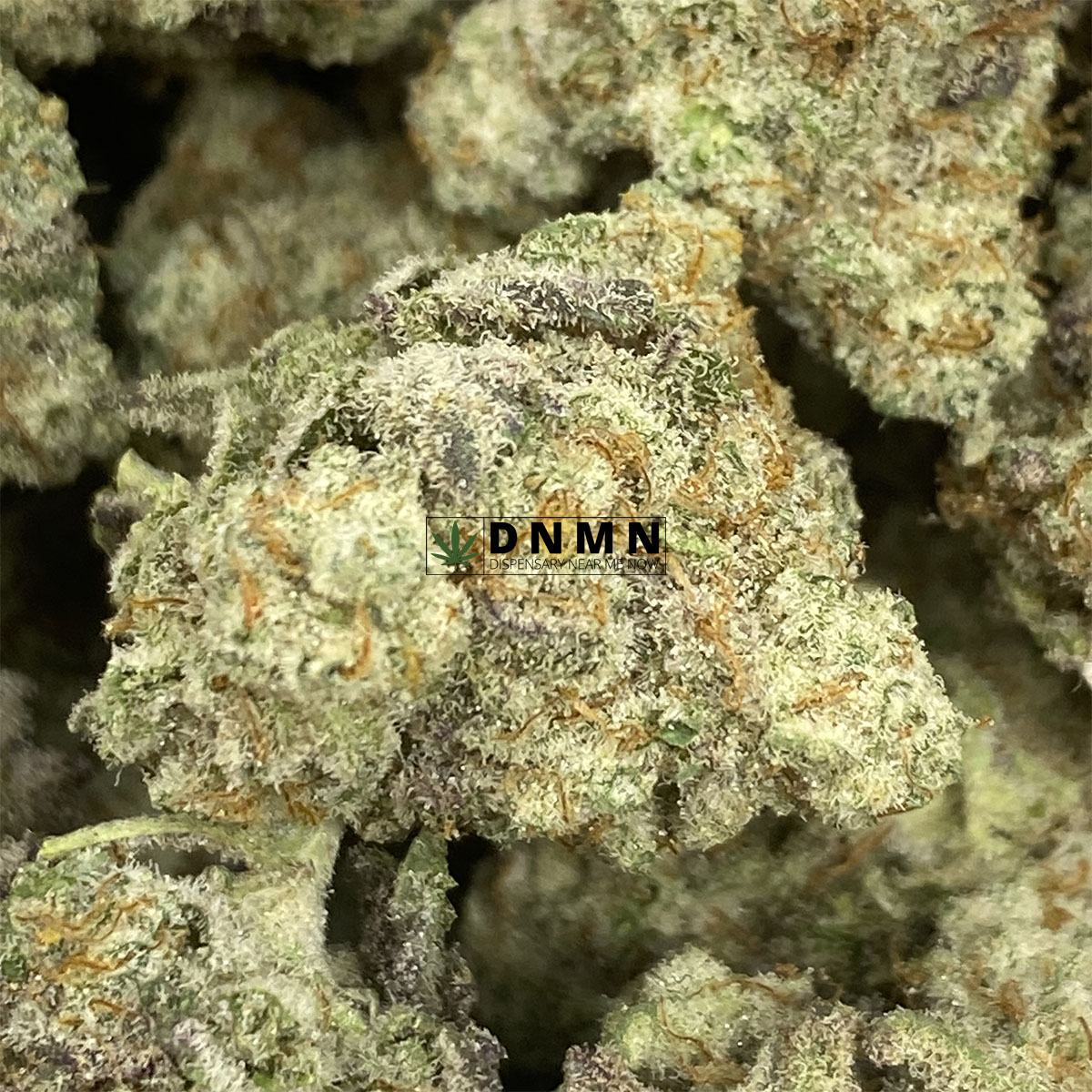 Oreo Stomper - Online Dispensary Canada - Dispensary Near Me Now