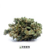 Snoop Dogg OG - Buy Weed Online - Dispensary Near Me Now