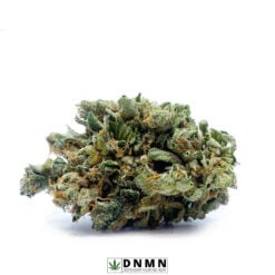 Snoop Dogg OG - Buy Weed Online - Dispensary Near Me Now