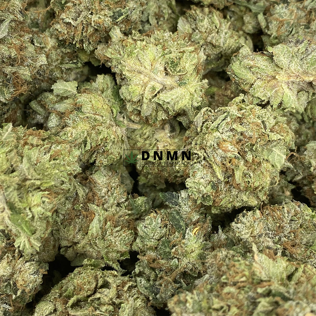 Snoop Dogg OG - Online Dispensary Canada - Dispensary Near Me Now