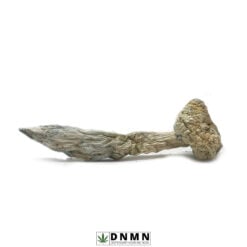 Snow White Magic Mushroom - Buy Weed Online - Dispensary Near Me Now