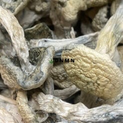 Snow White Magic Mushroom - Cheap Weed Canada - Dispensary Near Me Now