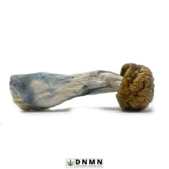 Tidal Wave Magic Mushroom - Buy Weed Online - Dispensary Near Me Now
