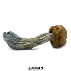 Vietnamese Magic Mushroom - Buy Weed Online - Dispensary Near Me Now