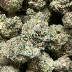 Acapulco Gold - Cheap Weed Canada - Dispensary Near Me Now