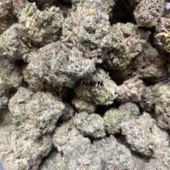 Acapulco Gold - Online Dispensary Canada - Dispensary Near Me Now