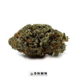 Amnesia Haze - Buy Weed Online - Dispensary Near Me Now