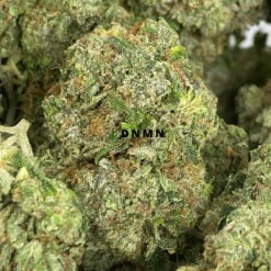Atomic Bomb - Online Dispensary Canada - Dispensary Near Me Now