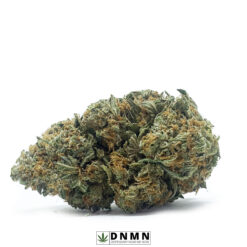 Bio-Jesus - Buy Weed Online - Dispensary Near Me Now