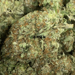 Bio-Jesus - Online Dispensary Canada - Dispensary Near Me Now