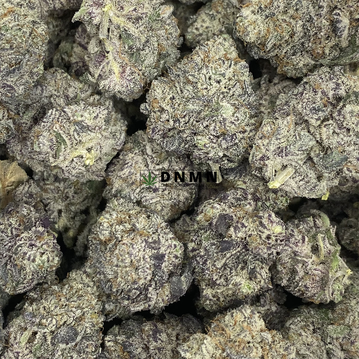 Blackberry Kush - Online Dispensary Canada - Dispensary Near Me Now
