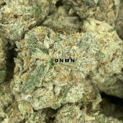 Cannalope Haze - Online Dispensary Canada - Dispensary Near Me Now