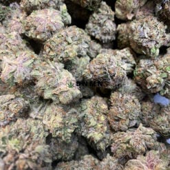 Death Tuna - Cheap Weed Canada - Dispensary Near Me Now