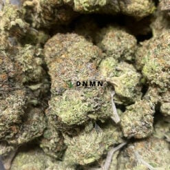 El Jefe - Cheap Weed Canada - Dispensary Near Me Now