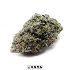 King Louie XIII - Buy Weed Online - Dispensary Near Me Now