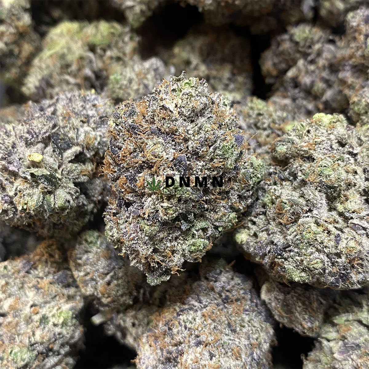 King Louie XIII - Online Dispensary Canada - Dispensary Near Me Now