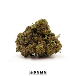 Pink Panther - Buy Weed Online - Dispensary Near Me Now