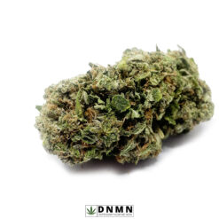 Pink Rockstar - Buy Weed Online - Dispensary Near Me Now