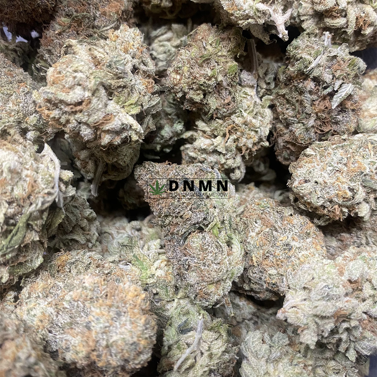 Tahoe OG - Online Dispensary Canada - Dispensary Near Me Now