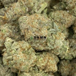 Goudaberry - Online Dispensary Canada - Dispensary Near Me Now