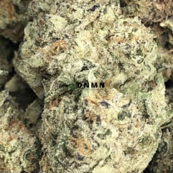Butterscotch - Online Dispensary Canada - Dispensary Near Me Now