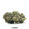 Gassy Rockstars - Buy Weed Online - Dispensary Near Me Now