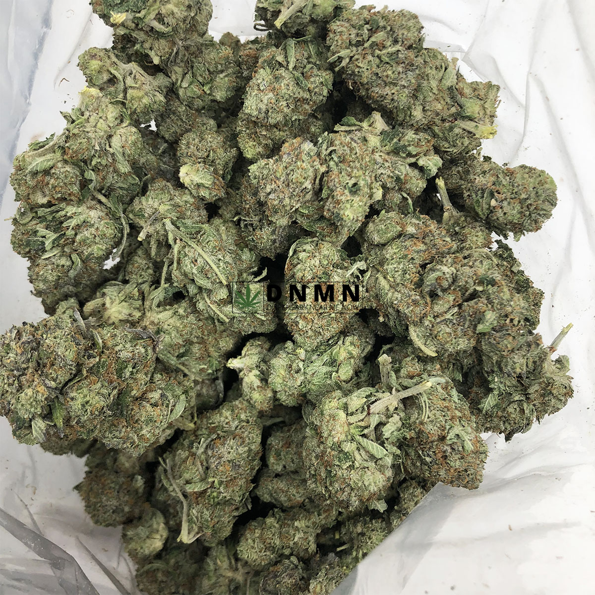 Gassy Rockstars - Cheap Weed Canada - Dispensary Near Me Now