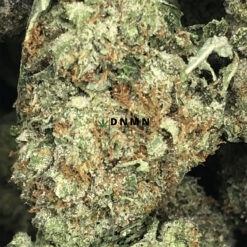 Gassy Rockstars - Online Dispensary Canada - Dispensary Near Me Now