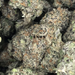 Grapefruit - Online Dispensary Canada - Dispensary Near Me Now