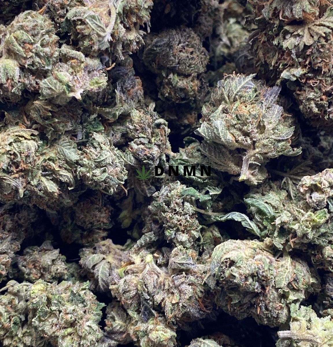 Pink Kush - Online Dispensary Canada - Dispensary Near Me Now