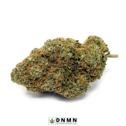Purple Punch - Buy Weed Online - Dispensary Near Me Now