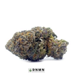 Purple Snoop Dogg OG - Buy Weed Online - Dispensary Near Me Now